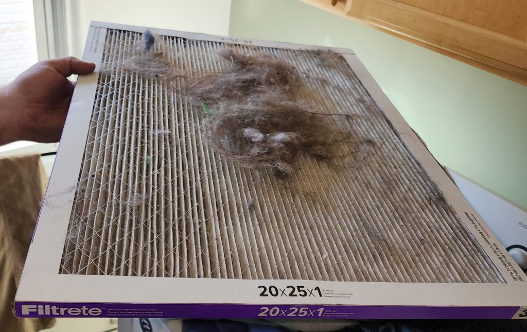 Photo of a hand holding a very dirty air filter with animal hair on it.